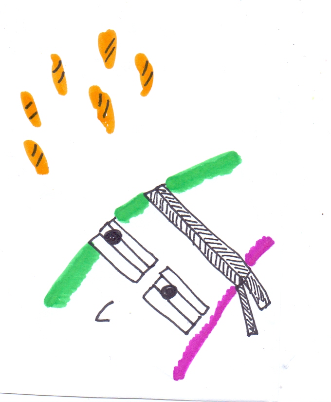 #pazzomarzoscarabocchiato